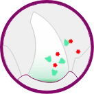 Passo 06
